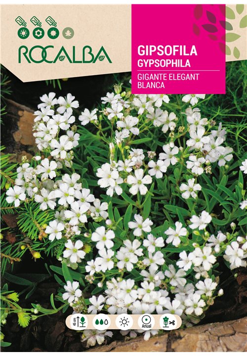 GIPSOFILA GIGANTE ELEGANT BLANCA