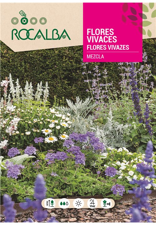 FLORES VIVACES EN MEZCLA