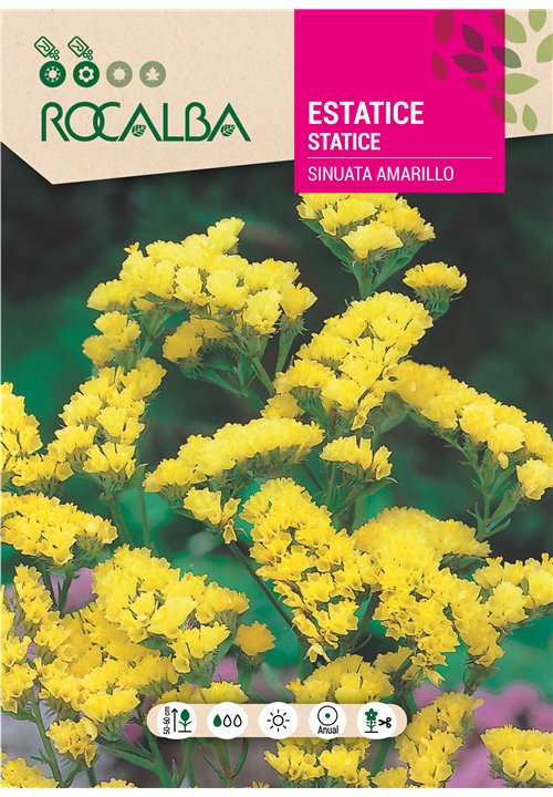ESTATICE SINUATA AMARILLO