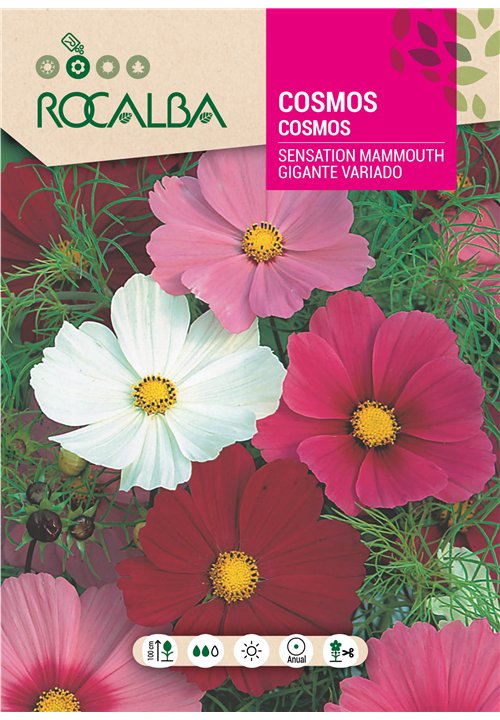 COSMOS SENSATION MAMMOUTH GIGANTE VARIADO
