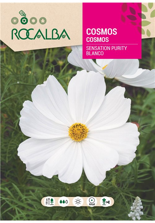 COSMOS SENSATION PURITY BLANCO