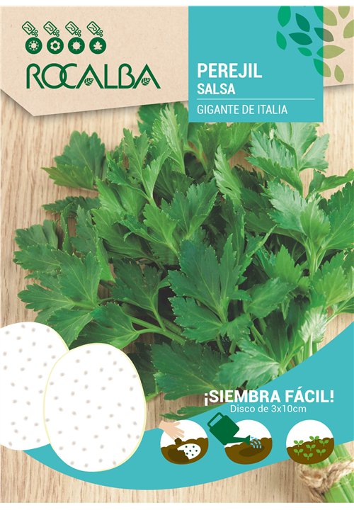 Folhas lisas, grandes e muito aromáticas. Cor verde-escuro brilhante. Porte erguido e fácil rebrote dos talos depois do corte.