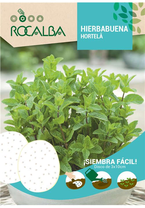 Planta vivaz de excelente fragância. Utiliza-se para aromatizar pratos e em infusões. Propriedades medicinais: tónica, antiespas