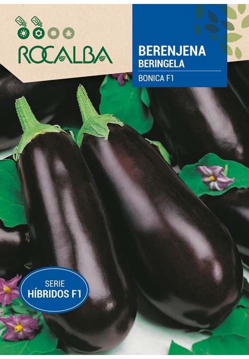 BERENJENA HIBRIDA F-1 BONICA