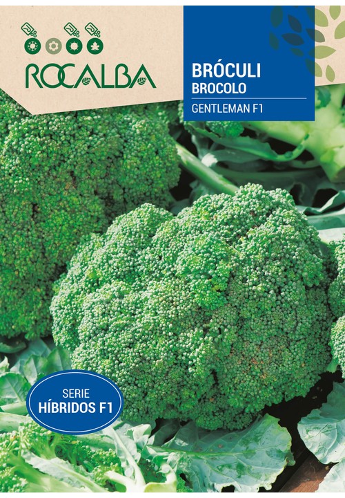 BROCCOLI Hibrido F-1 Gentleman