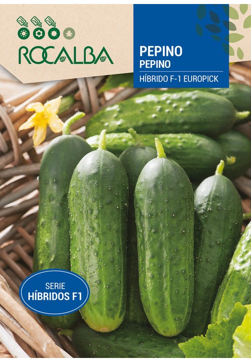 CONCOMBRE Hybride Europick F-1