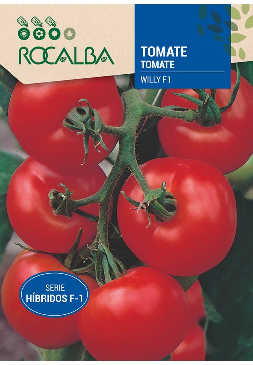 TOMATE Hibrido F-1 Willy