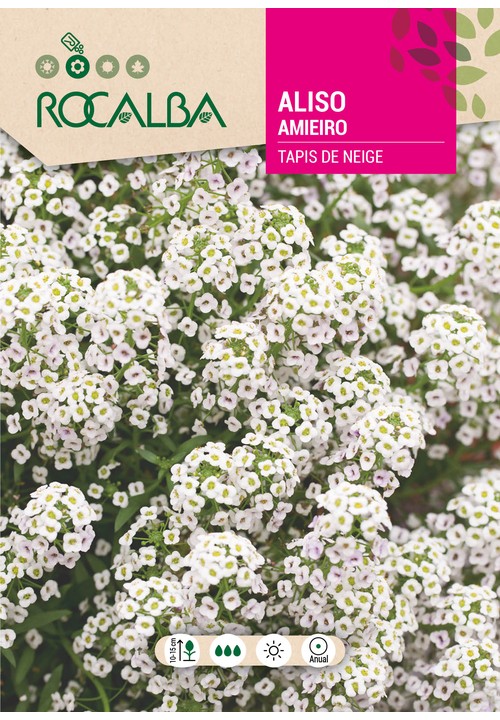 AMIEIRO TAPIS DE NEIGE