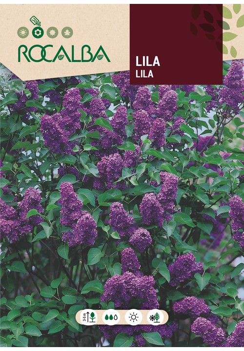 LILAS
