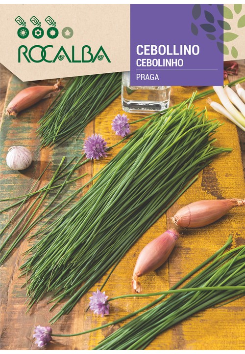 CEBOLINHO PRAGA