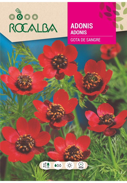 ADONIS GOTA DE SANGRE ROJO