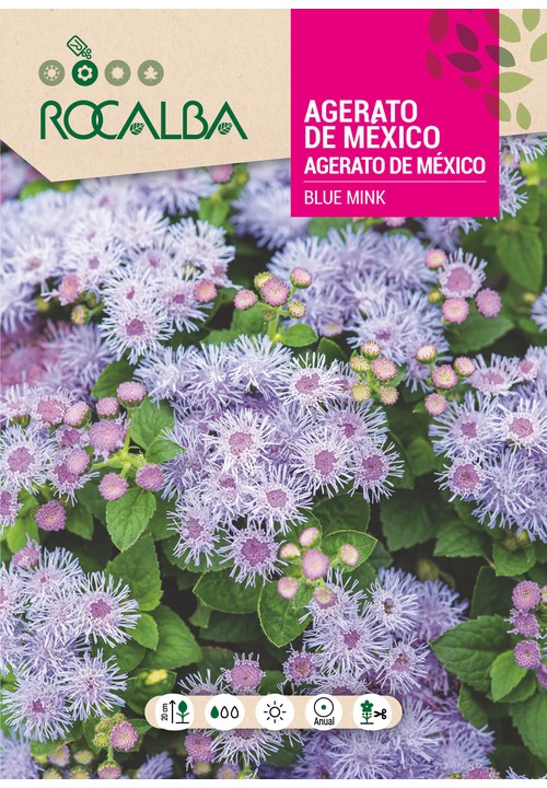 AGERATO DE MÉXICO ANÃO BLUE MINK