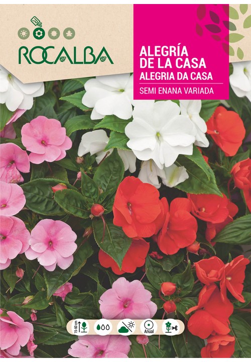 ALEGRIA DA CASA SEMI-ANÃ VARIADA
