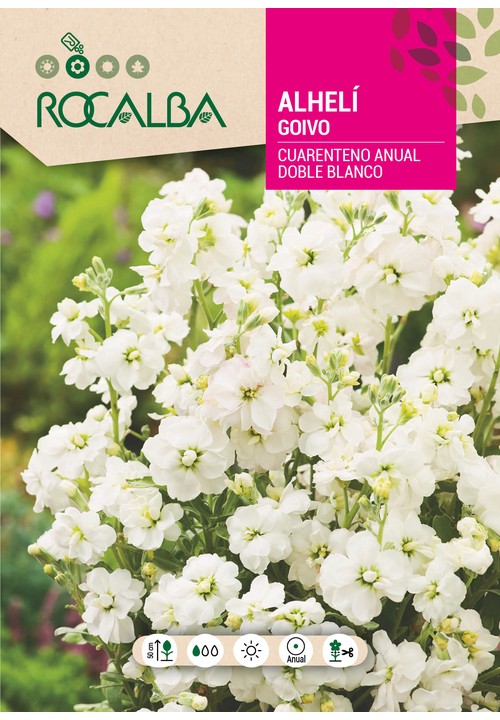 GOIVO QUARENTENO ANUAL DUPLO BRANCO