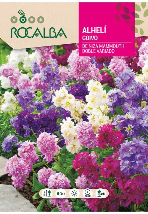 GOIVO DE NIZA DUPLO VARIADO