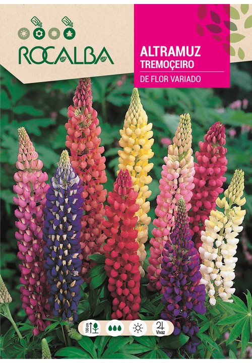 TREMOÇEIRO DE FLOR VARIADO