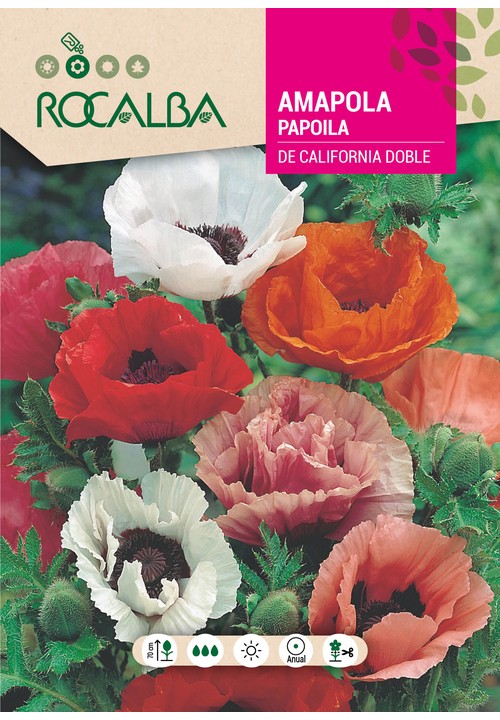 PAPOILA DE CALIFORNIA DUPLA VARIADA
