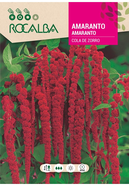 AMARANTO CAUDA DE ZORRO