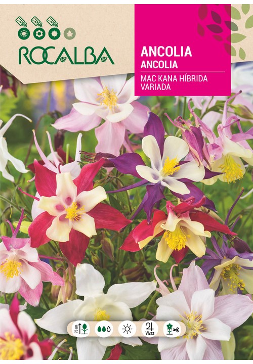 ANCOLIA HÍBRIDA MAC KANA VARIADA