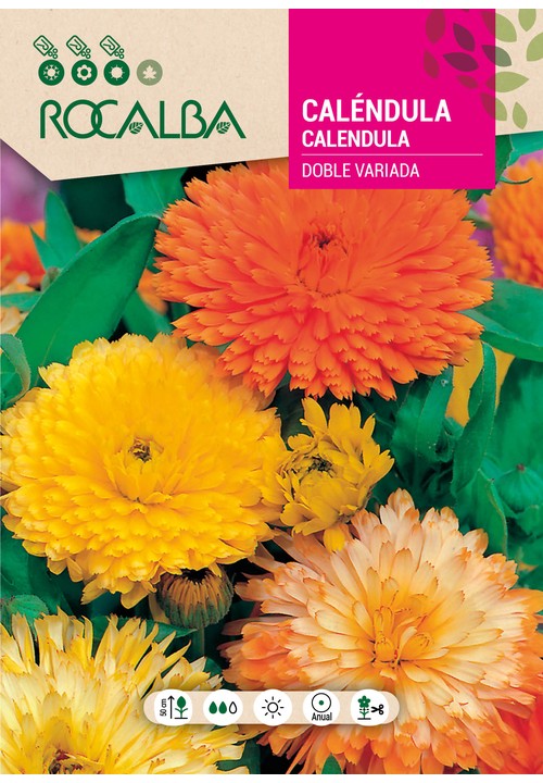 CALENDULA DUPLA VARIADA