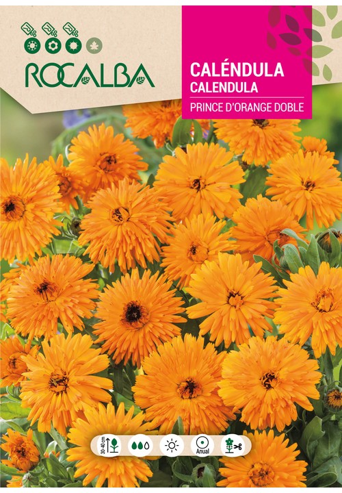 CALENDULA DUPLA PRINCE D’ORANGE