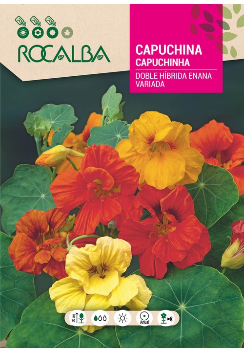 CAPUCHINHA ANÃ HÍBRIDA DUPLA VARIADA