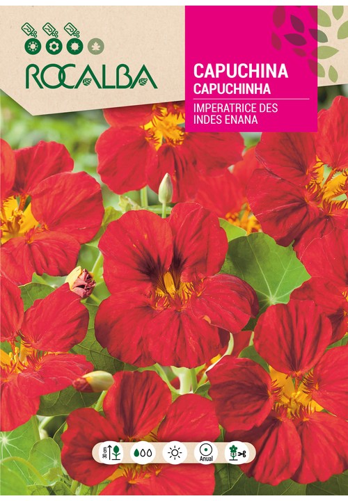 CAPUCHINHA ANÃ IMPERATRICE DES INDES