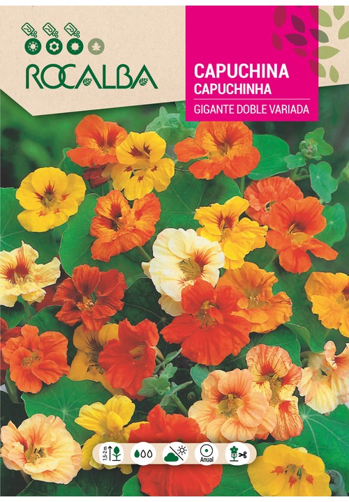 CAPUCHINHA GIGANTE DUPLA VARIADA