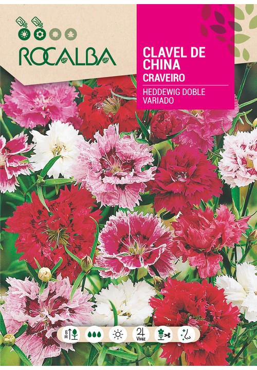 CRAVEIRO DA CHINA DUPLO DE HEDDEWIG VARIADO