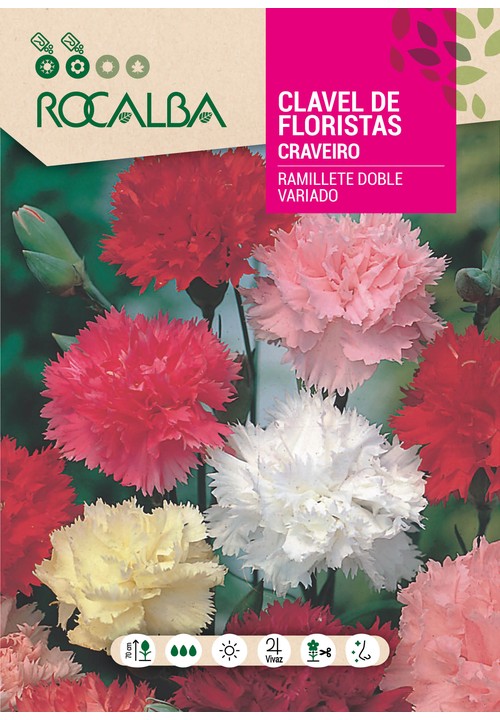 CRAVEIRO DES FLEURISTES RAMALHETE DUPLO VARIADO