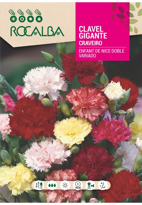 CRAVEIRO ENFANT DE NICE GIGANTE DUPLO VARIADO