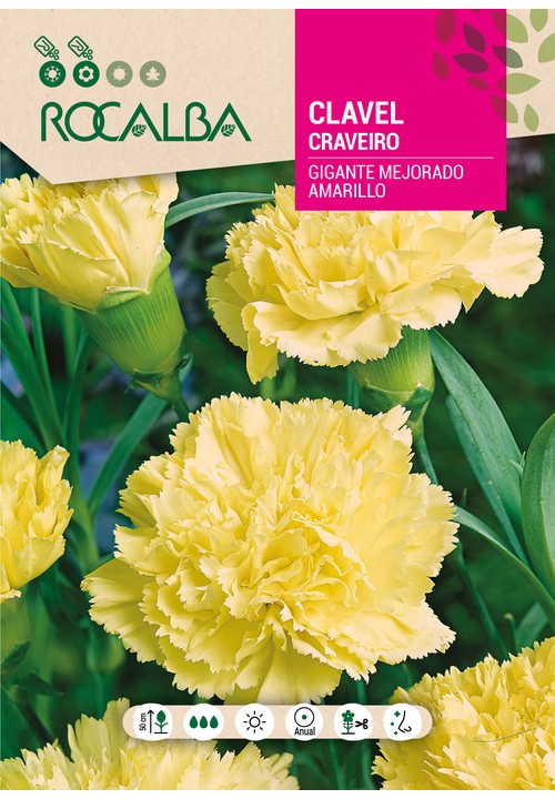 CRAVEIRO GIGANTE MELHORADO AMARELO