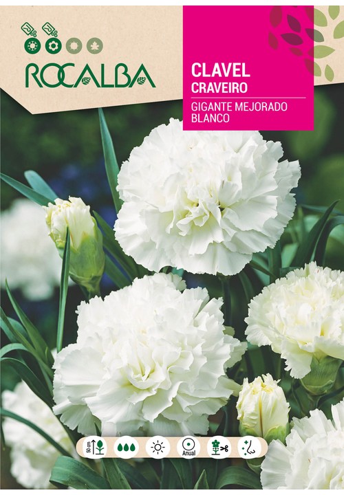 CRAVEIRO GIGANTE MELHORADO BRANCO