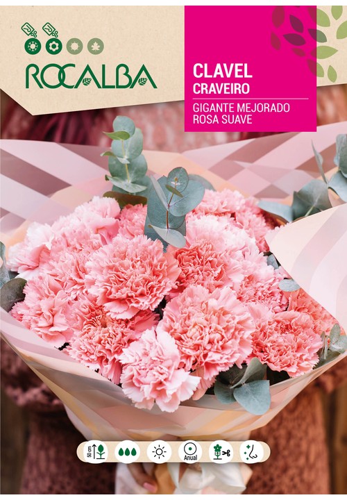 CRAVEIRO GIGANTE MELHORADO ROSA SUAVE