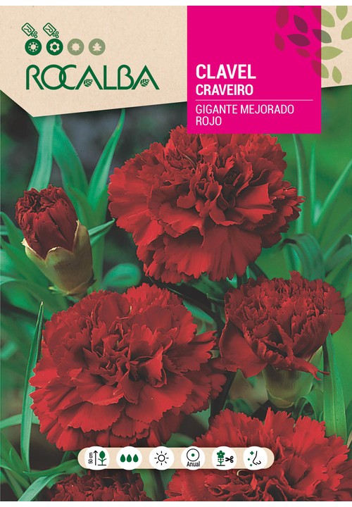 CRAVEIRO GIGANTE MELHORADO VERMELHO