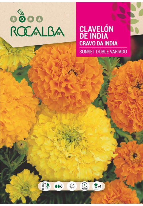 CRAVO DA INDIA SUNSET DOBRADO VARIADO