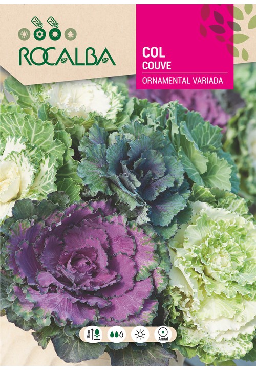 COUVE ORNAMENTAL VARIADA
