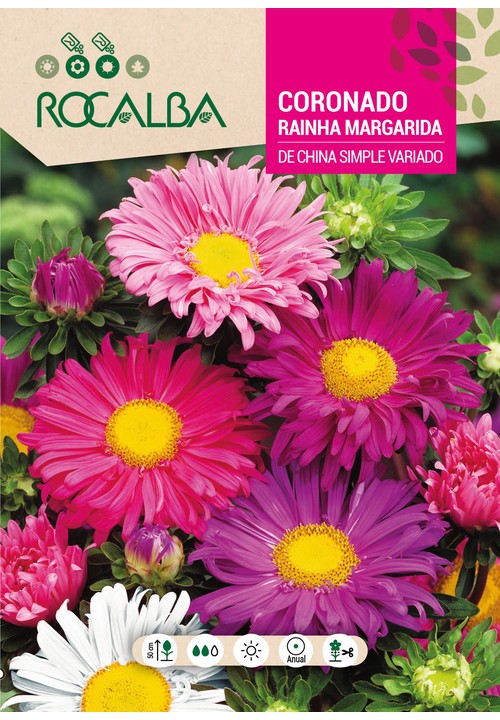 RAINHA MARGARIDA (SÉCIA) DA CHINA SIMPLES VARIADA