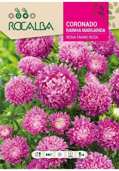 RAINHA MARGARIDA (SÉCIA) ANÃ ‘REINE’ ROSA