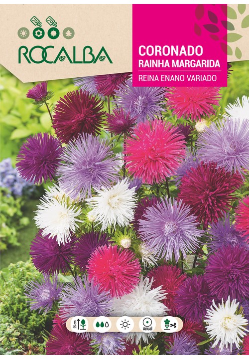 RAINHA MARGARIDA (SÉCIA) ANÃ REINE VARIADA