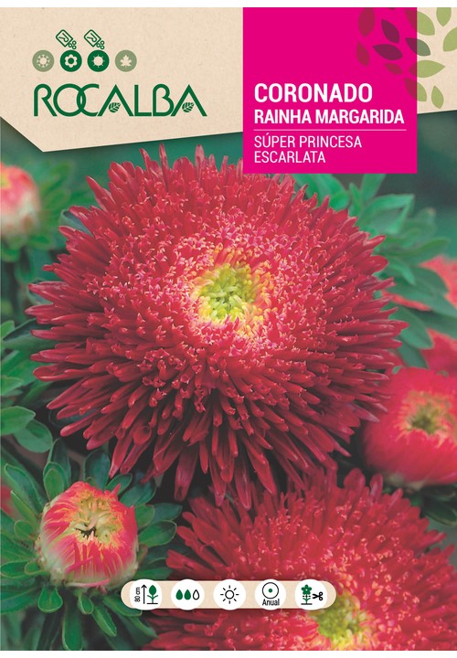 RAINHA MARGARIDA SUPER PRINCESA VERMELHA
