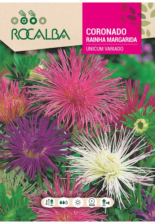 RAINHA MARGARIDA UNICUM VARIADA