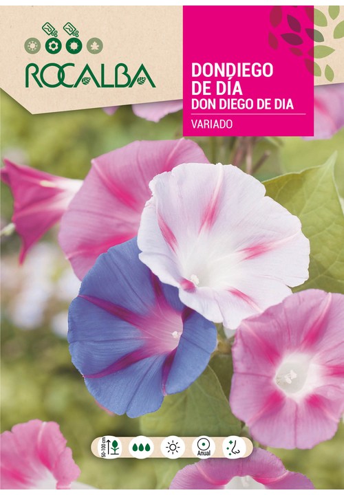 DON DIEGO DE DIA VARIADO