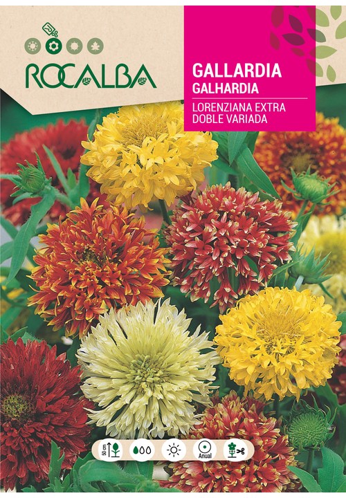 GALHARDIA EXTRA DUPLA LORENZIANA VARIADA