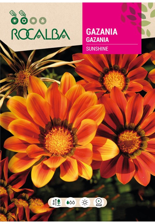 GAZANIA SUNSHINE MESCLA FLORISTAS
