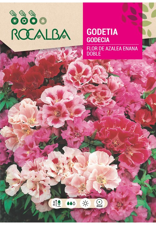 GODECIA ANÃ DOBRADA FLOR DE AZÁLEA