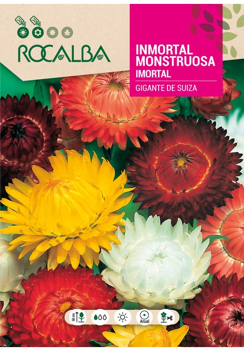 IMORTAL MONSTRUOSA GIGANTE DE SUISSE