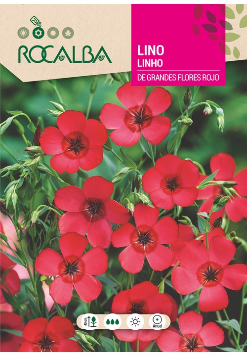 LINHO DE GRANDES FLORES VERMELHO