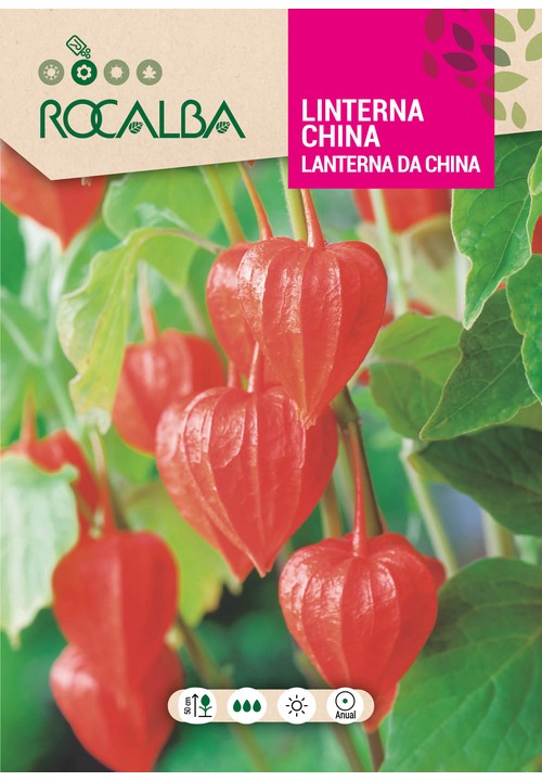 LANTERNA DA CHINA VERMELHA
