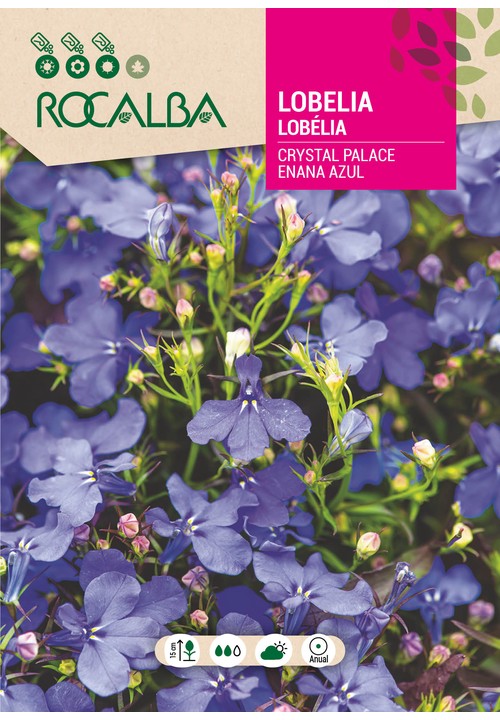 LOBÉLIA CRYSTAL PALACE ANÃ AZUL